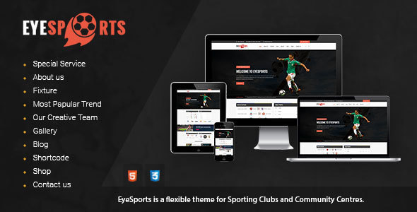 Eye Sports - Fixtures and Sports WordPress Theme - Nonprofit WordPress