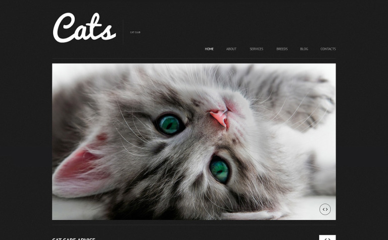 Cat Responsive WordPress Theme New Screenshots BIG