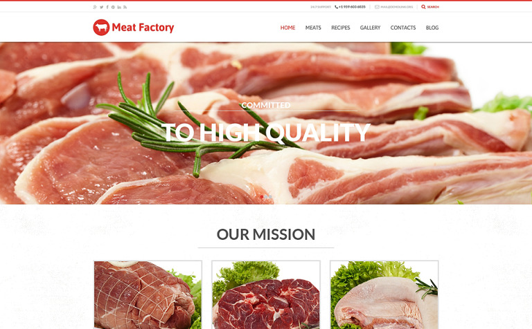 Health Benefits of Meat WordPress Theme New Screenshots BIG