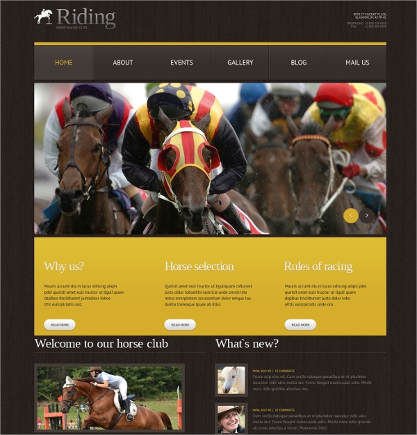 Horse Riding Sports WordPress Theme $75